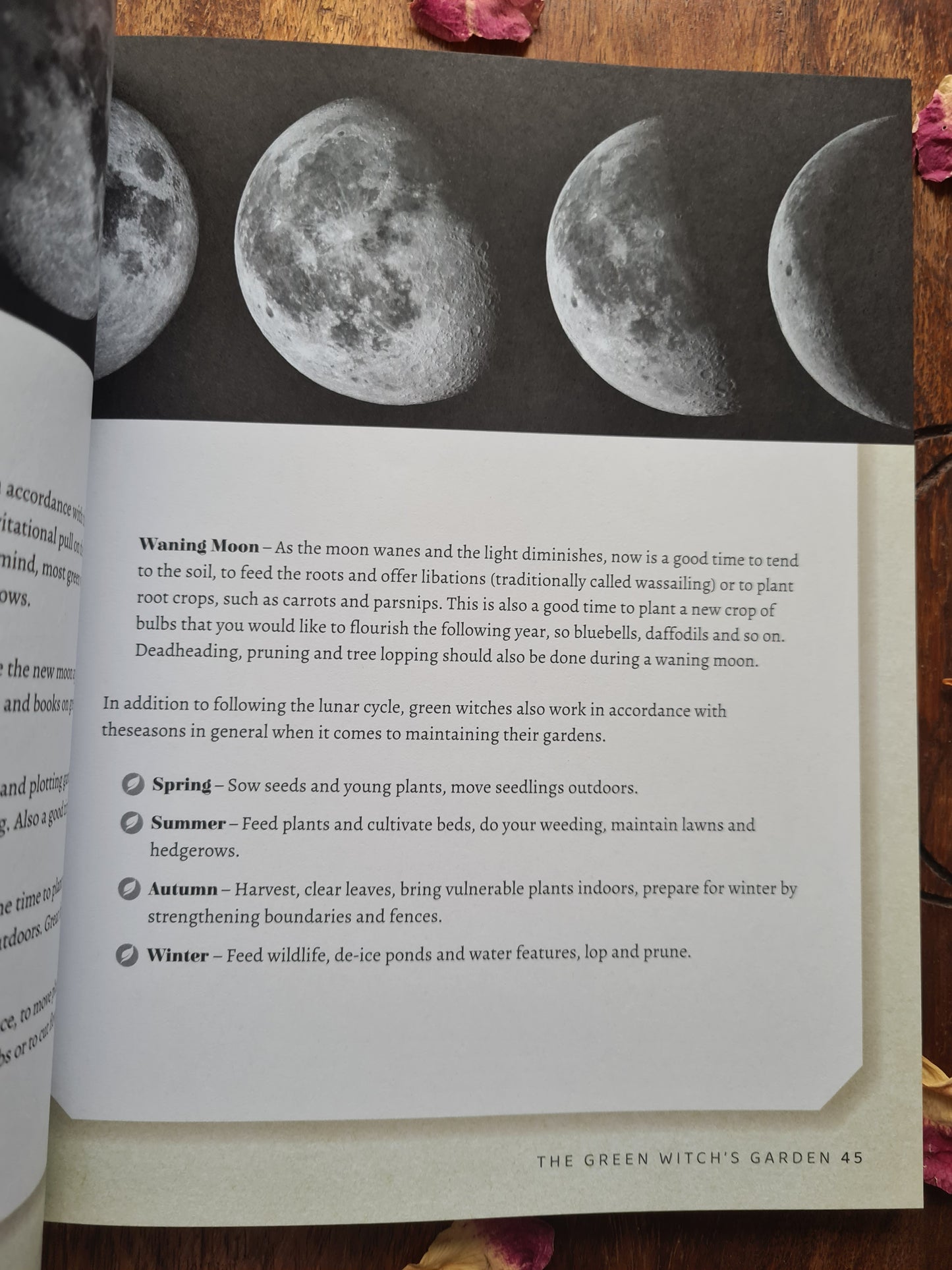 Green Witchcraft: Magical Ways to Walk Softly on the Earth by Marie Bruce
