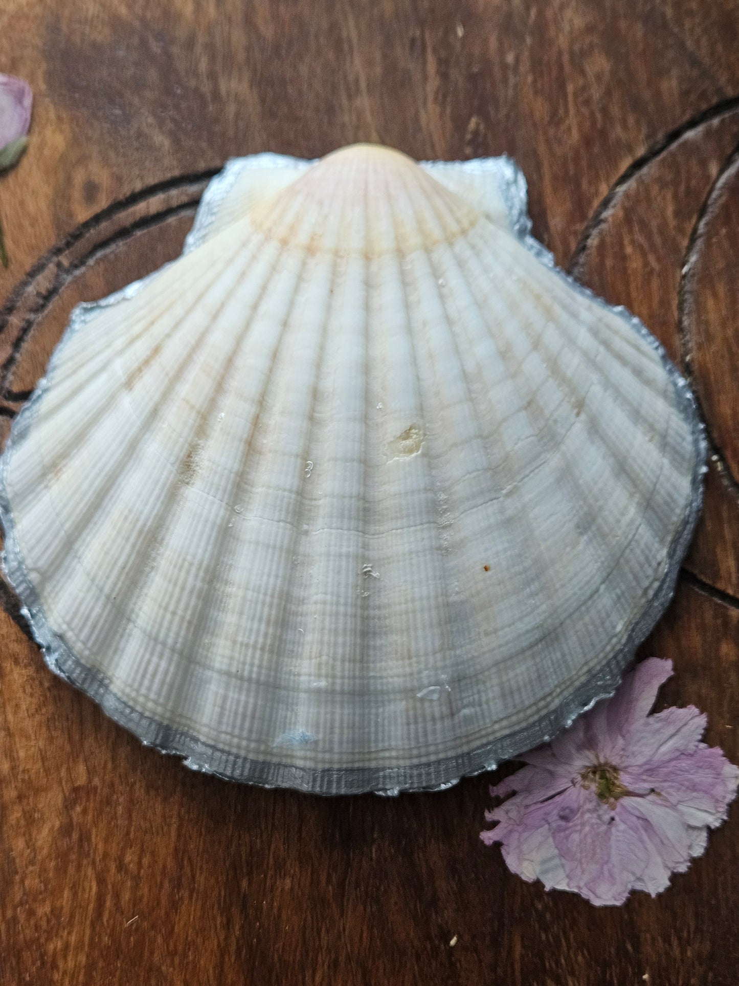 Large Scallop Shells with Decoupage Design - Rabbit or Floral Butterfly