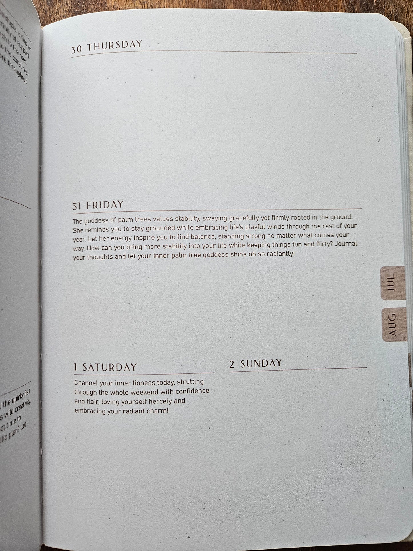 2026 Moon Goddess Planner Calendar: Northern Hemisphere (Planners) by Nicci Garaicoa