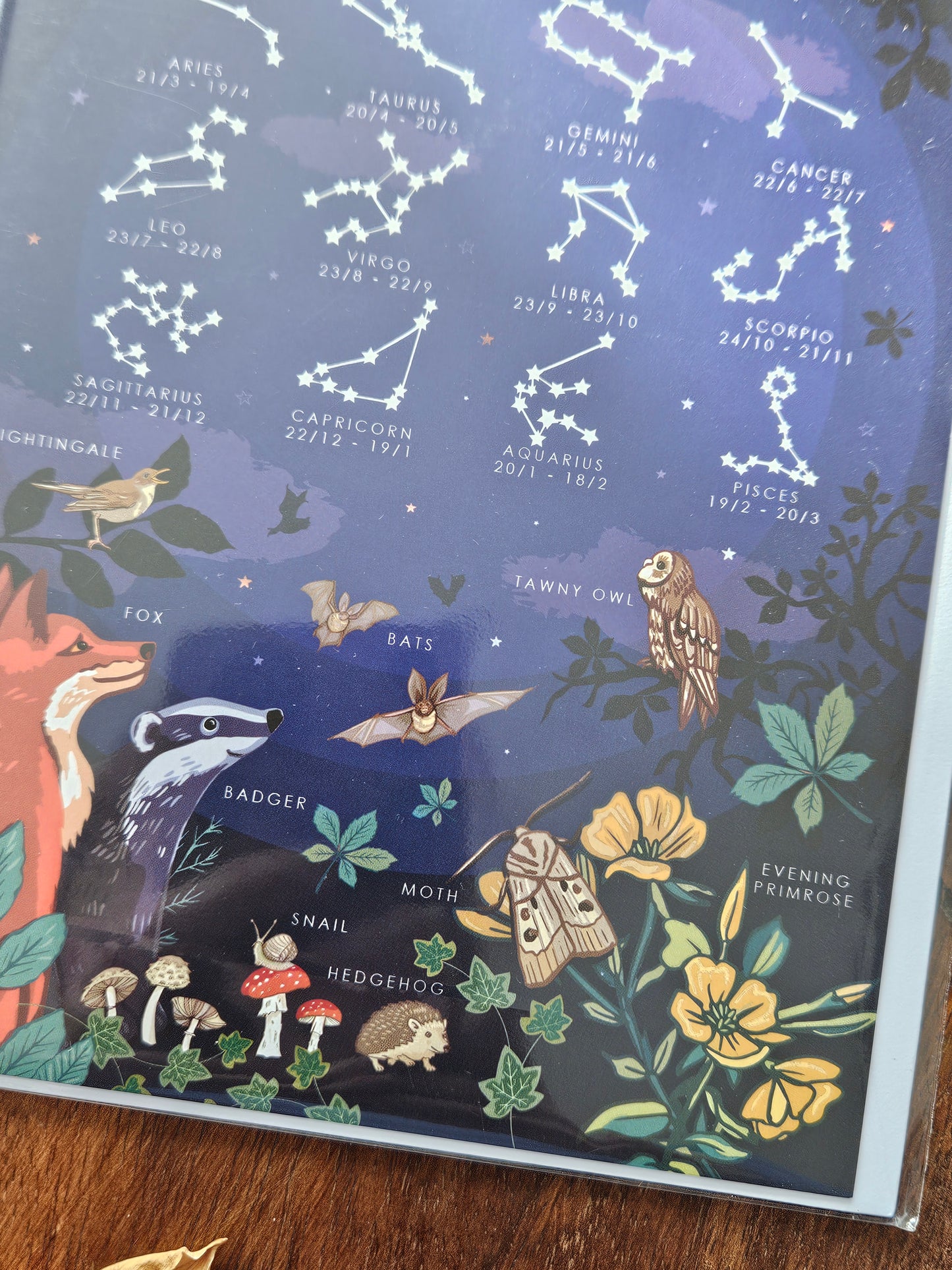 Zodiac Constellations Greeting Card (Blank)