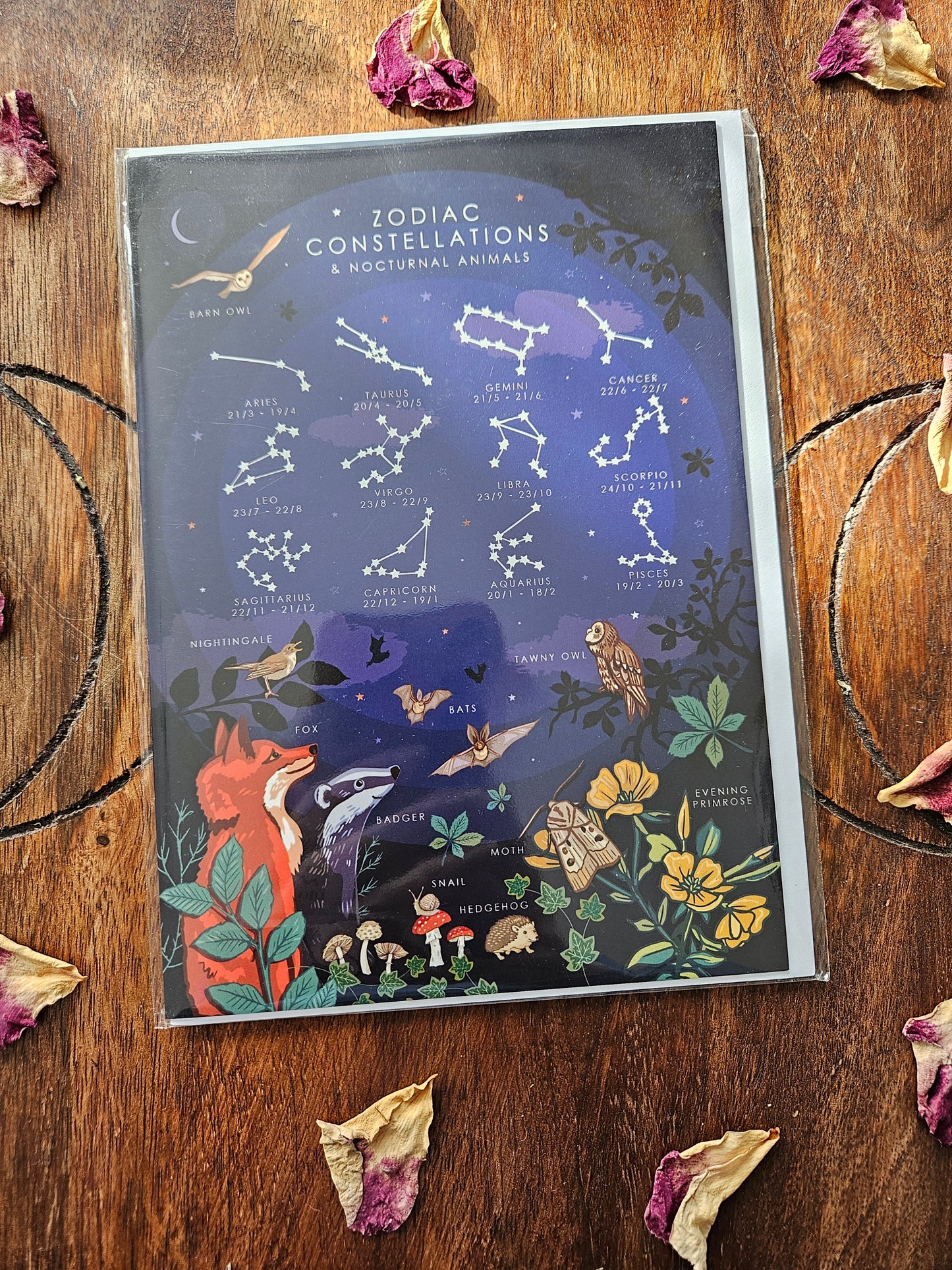 Zodiac Constellations Greeting Card (Blank)
