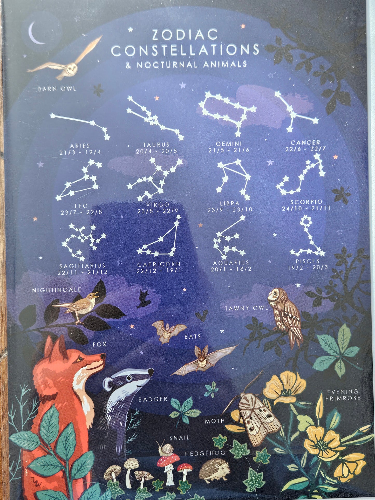 Zodiac Constellations Greeting Card (Blank)
