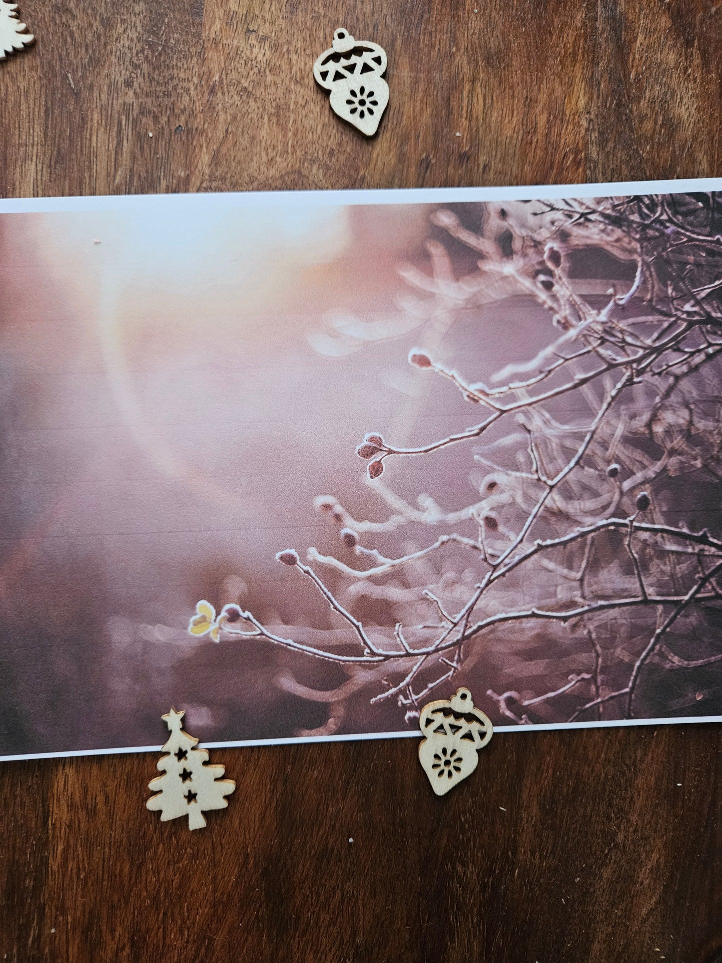 Winter Solstice Spell Kit ~ Yule