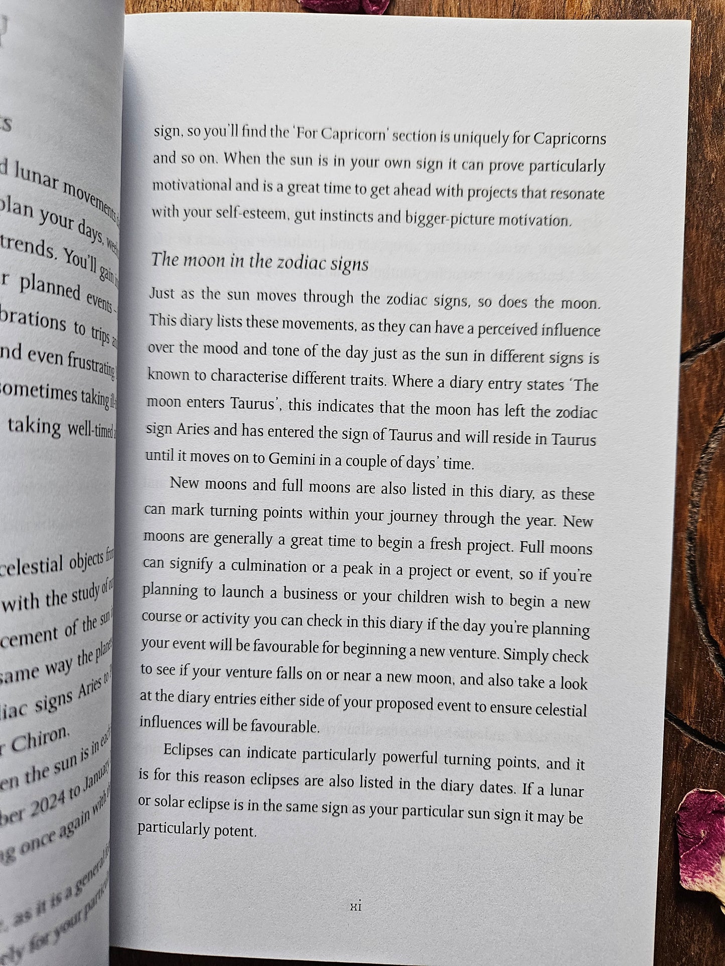 Astrology Diary 2025 (Northern Hemisphere) BY Patsy Bennett