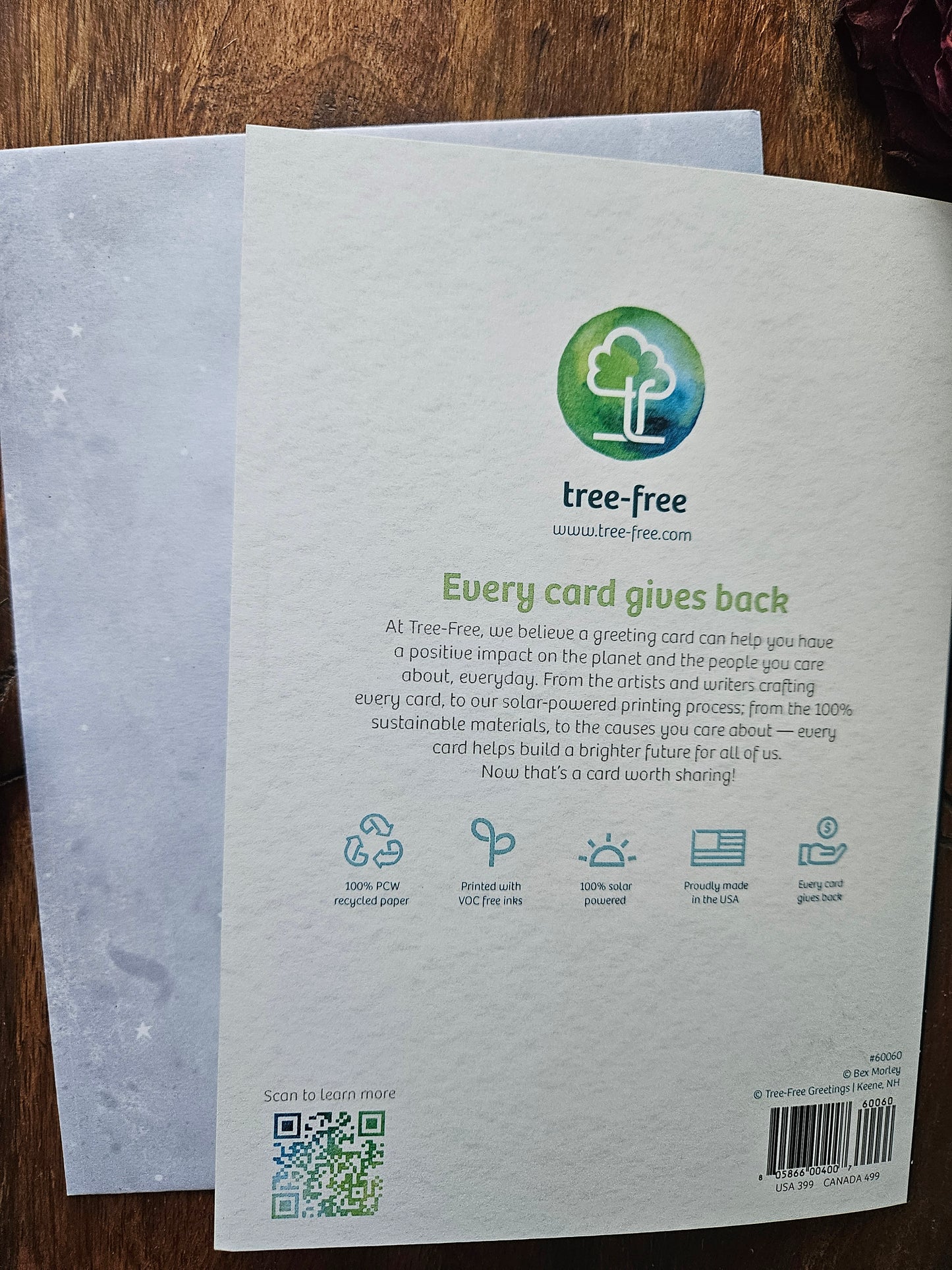 Feasts and Light Greeting Card (Solstice)