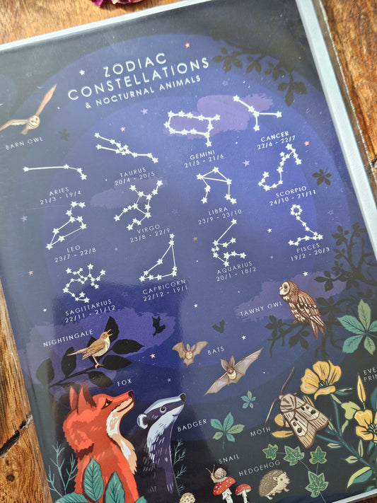 Zodiac Constellations Greeting Card (Blank)