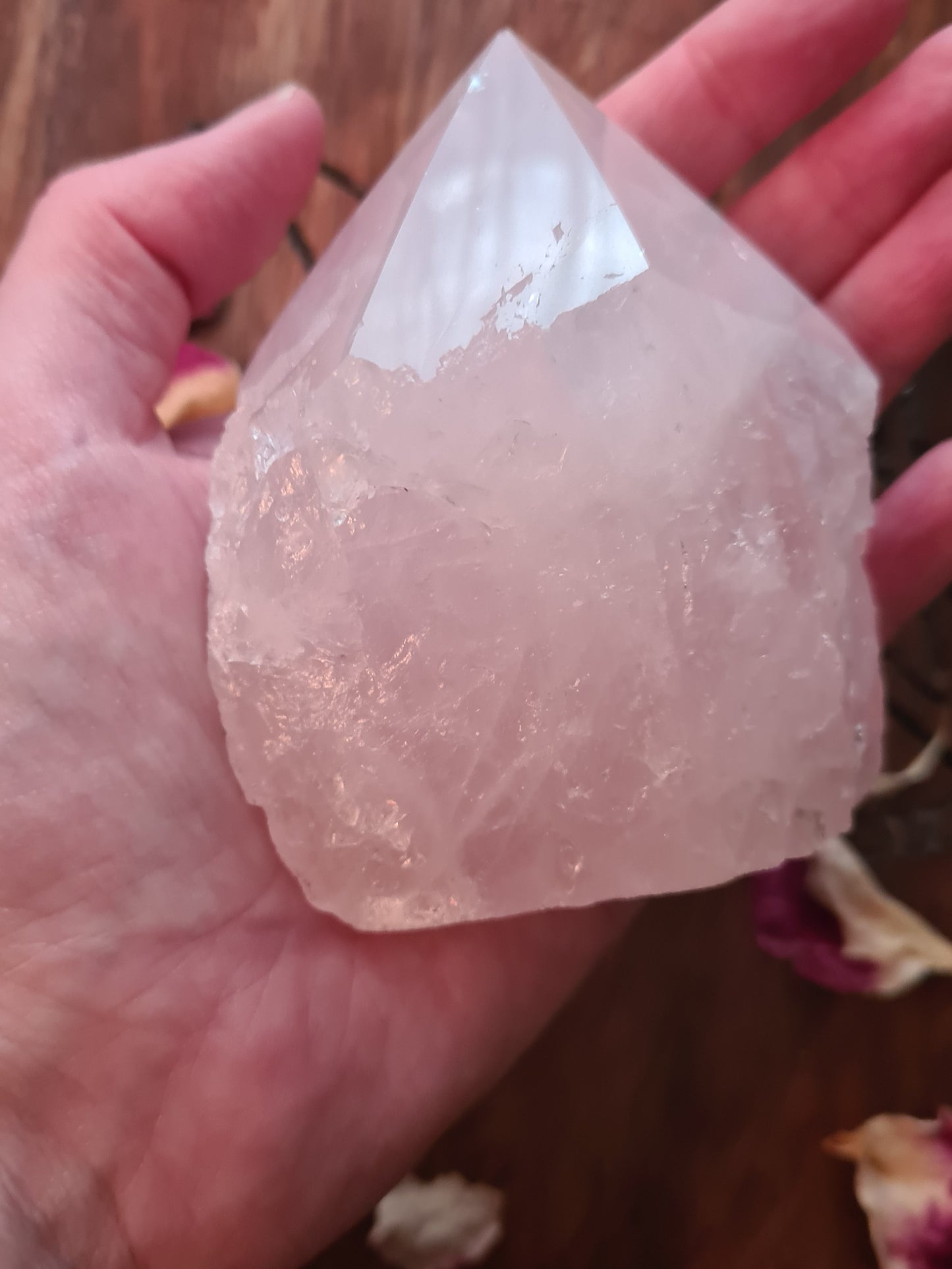 The Rose Quartz Collection