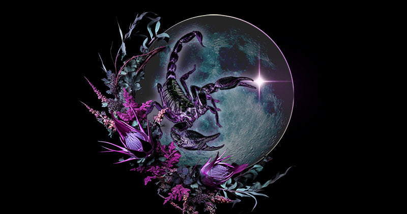 🌑 Scorpio New Moon Mini Spell: “Veil of Renewal”