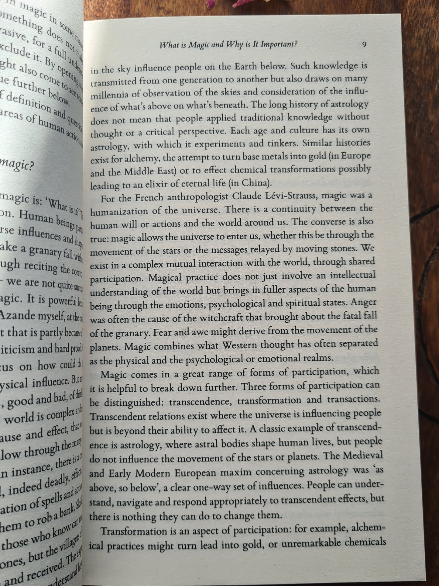 The History of Magic: From Alchemy to Witchcraft, from the Ice Age to the Present