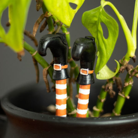 Set of 2 Witch Leg Plant Pot Ornaments