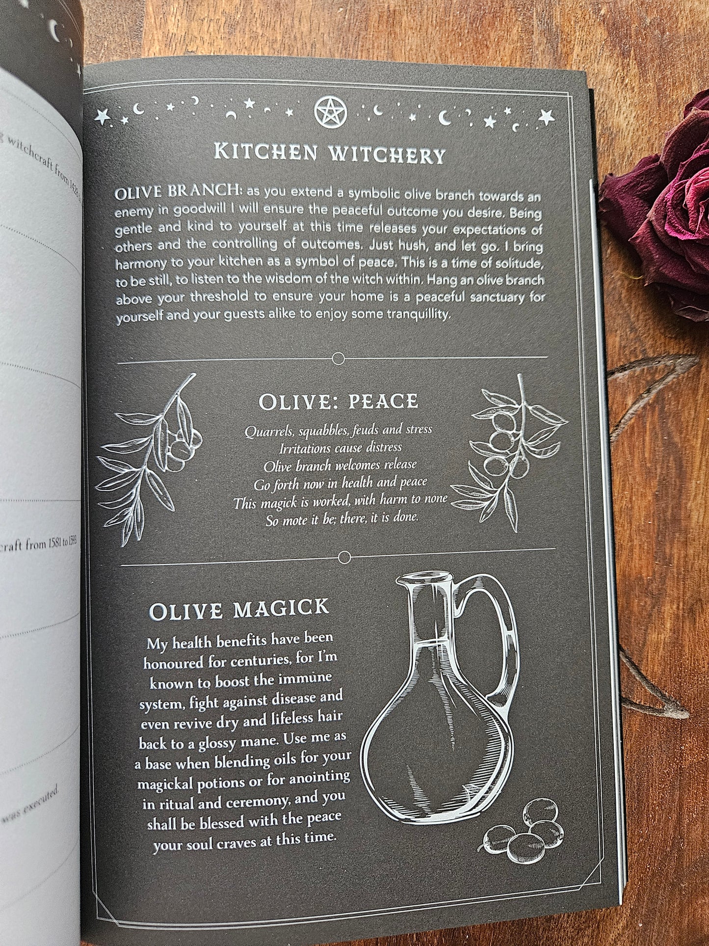 2026 Witch's Diary Planner Calendar: Northern Hemisphere: Reclaiming the magick of the old ways (Planners)