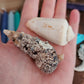 The Mermaid Queen Box ~ Witch's Sea Chest - Water Element ~Altar Box ~Neptune~Venus~