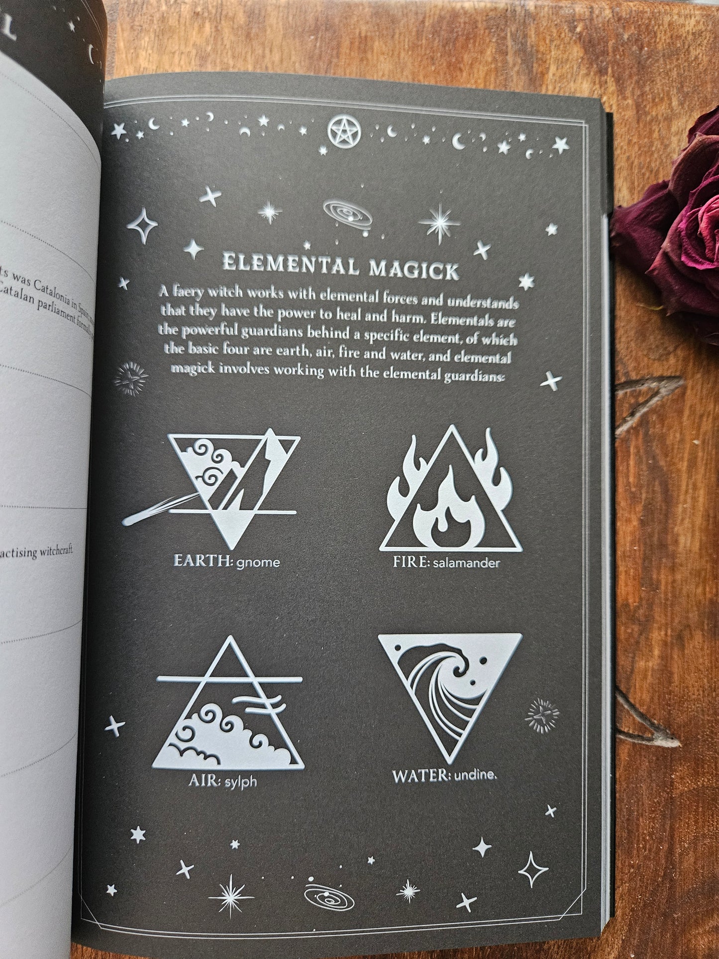 2026 Witch's Diary Planner Calendar: Northern Hemisphere: Reclaiming the magick of the old ways (Planners)