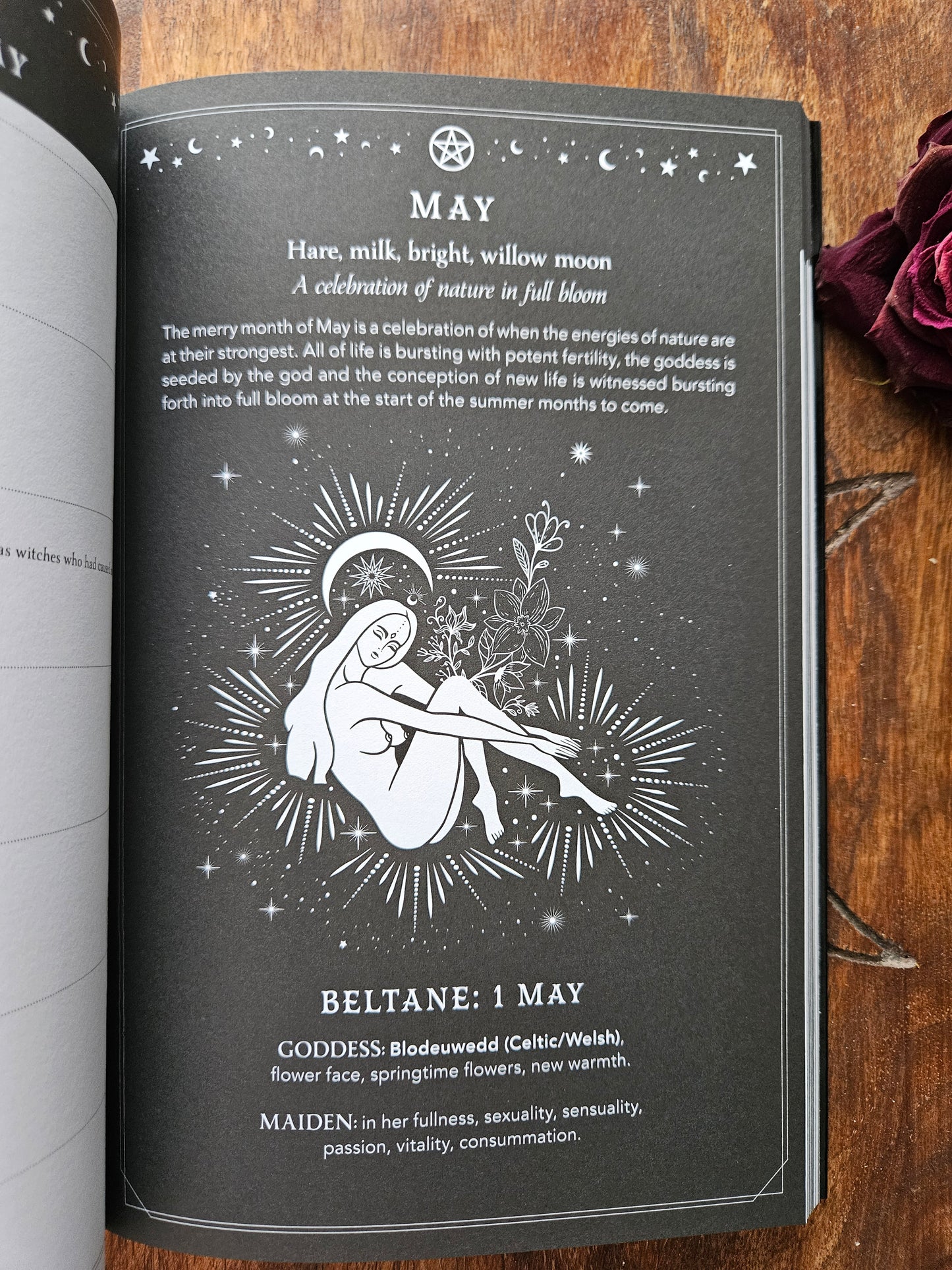2026 Witch's Diary Planner Calendar: Northern Hemisphere: Reclaiming the magick of the old ways (Planners)