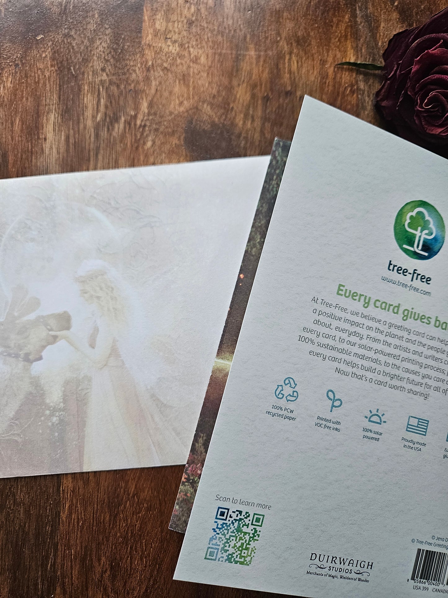 Gentle Kindness Greeting Card (Christmas Solstice)