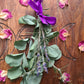 Herb Protection Bundles