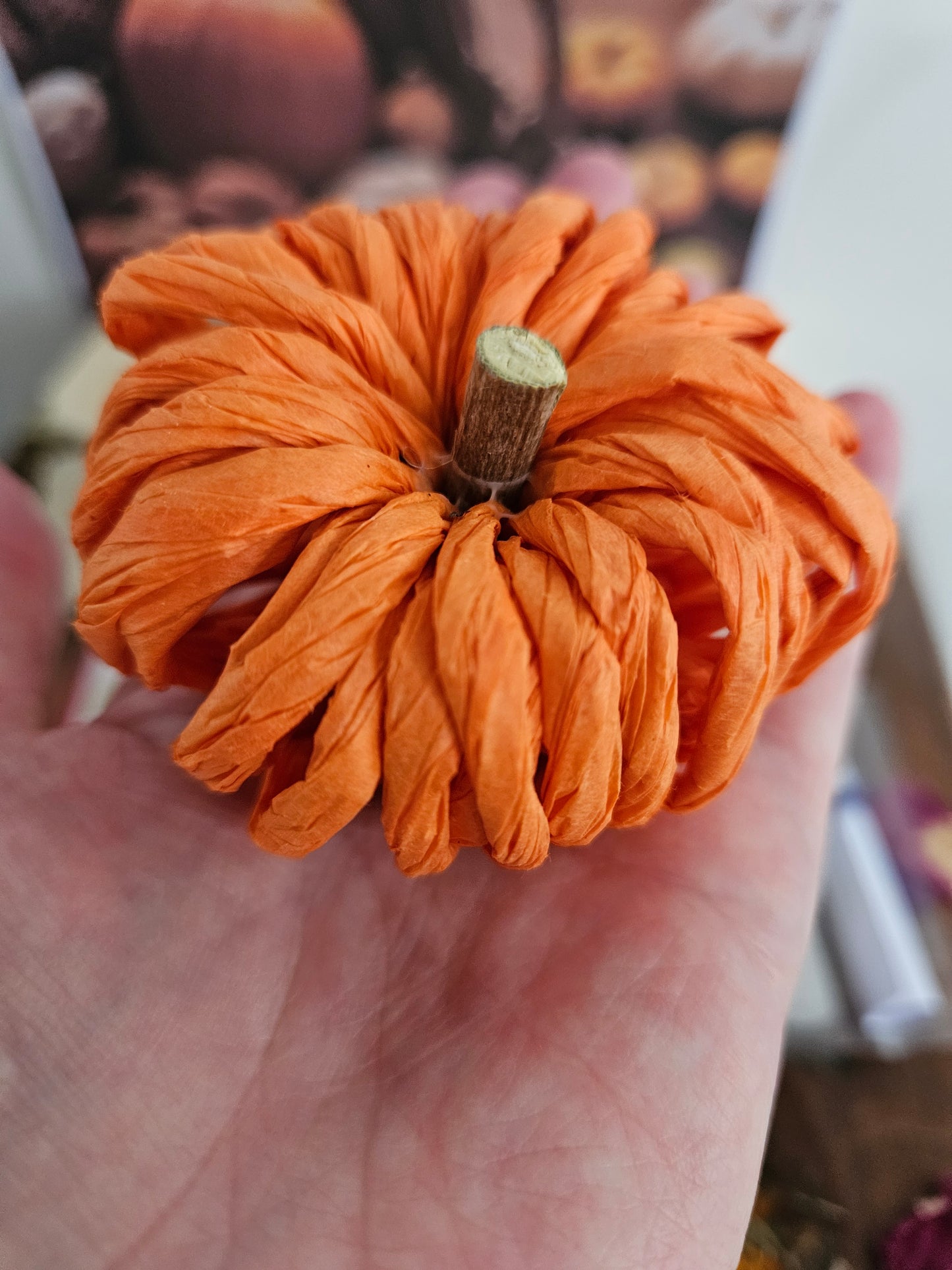 Mabon Altar Box ~ Autumn Equinox