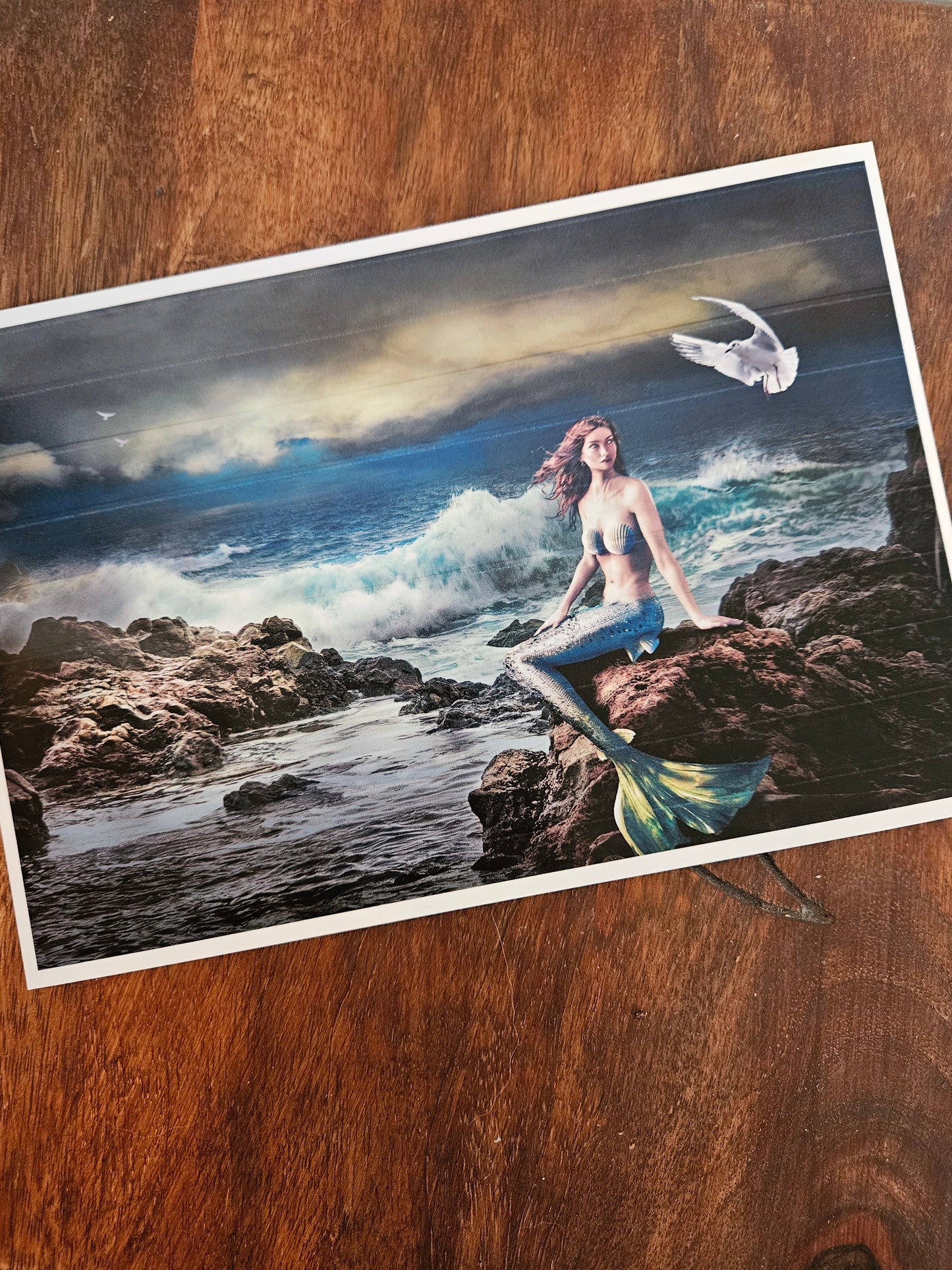The Mermaid Queen Box ~ Witch's Sea Chest - Water Element ~Altar Box ~Neptune~Venus~