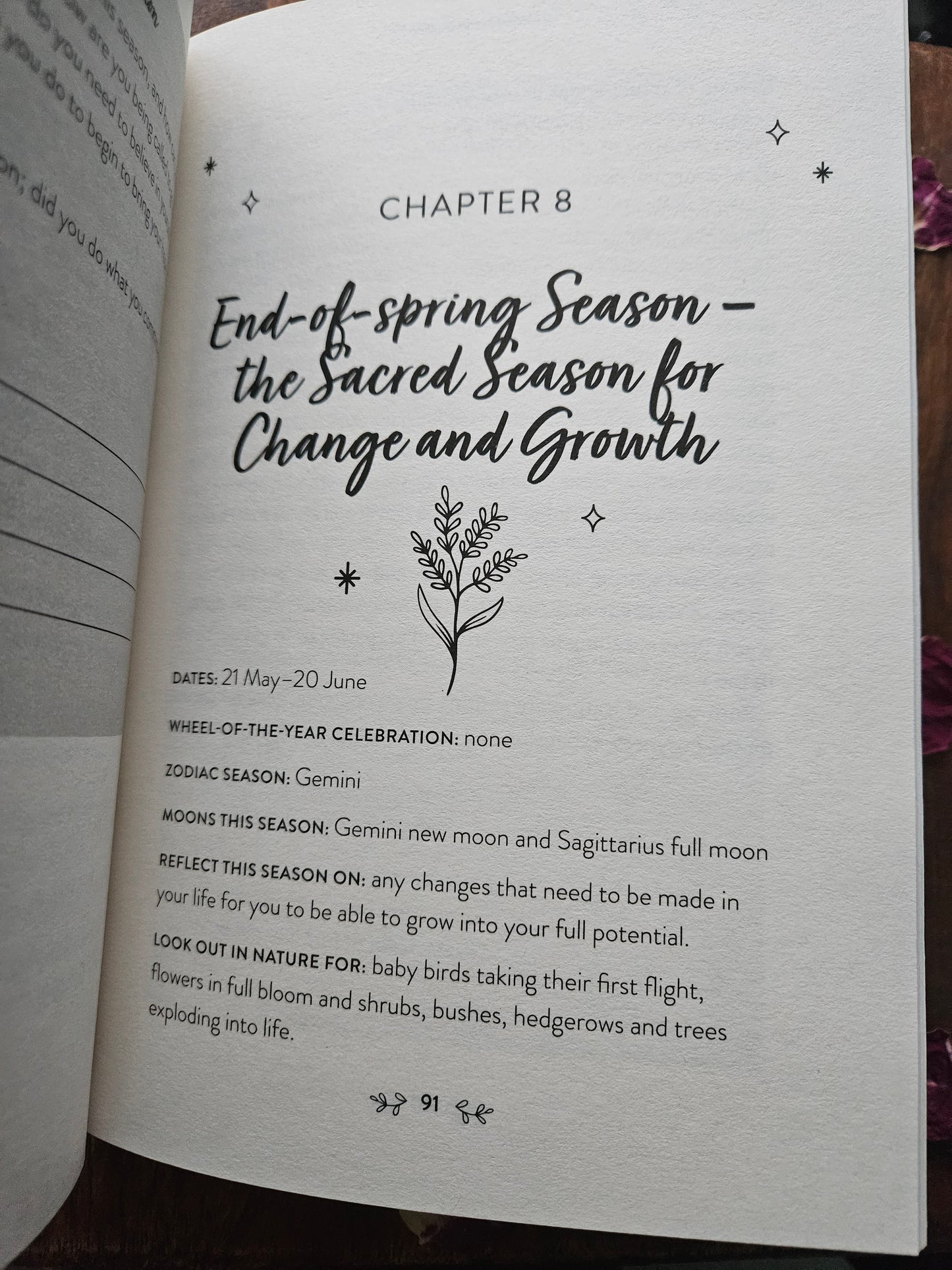 Sacred Seasons: Nature Inspired Rituals, wisdom, self-care for every day of the year by Kirsty Gallagher