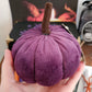 Season of the Witch Altar Box
