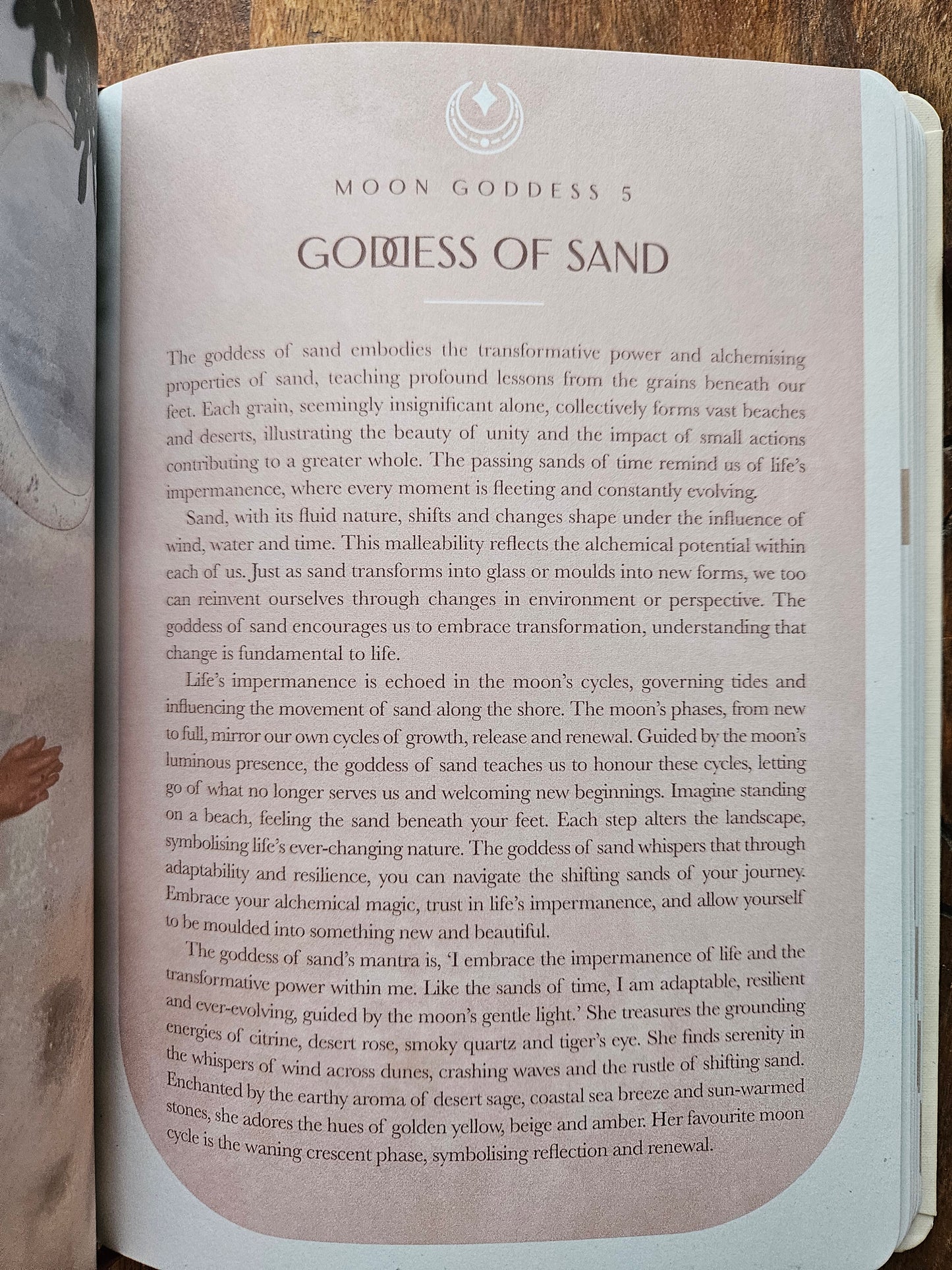2026 Moon Goddess Planner Calendar: Northern Hemisphere (Planners) by Nicci Garaicoa