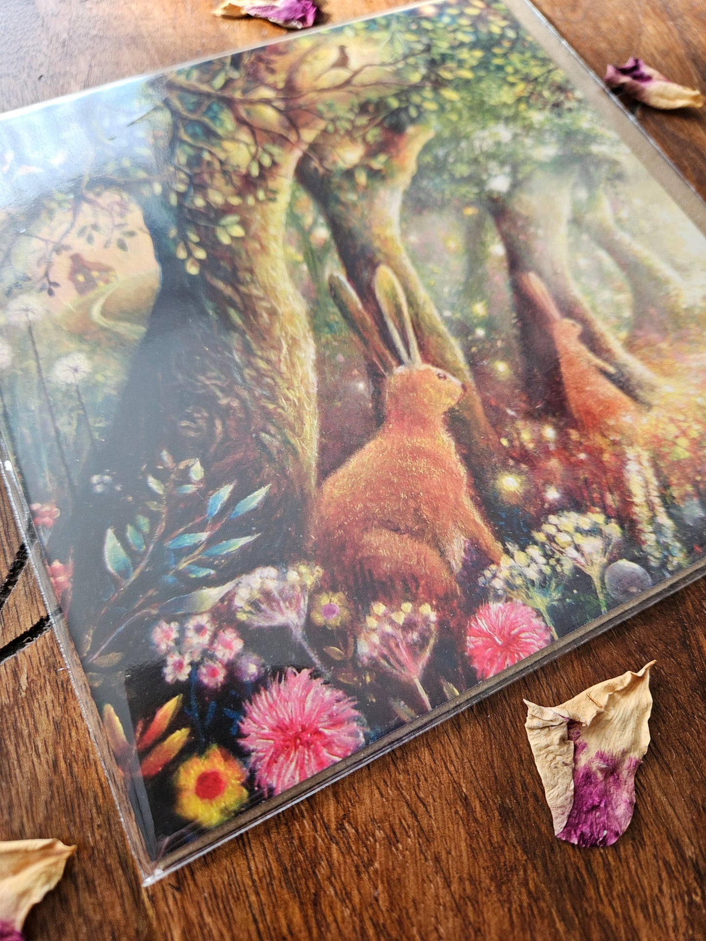 Woodland Hares Greeting Card (Blank)
