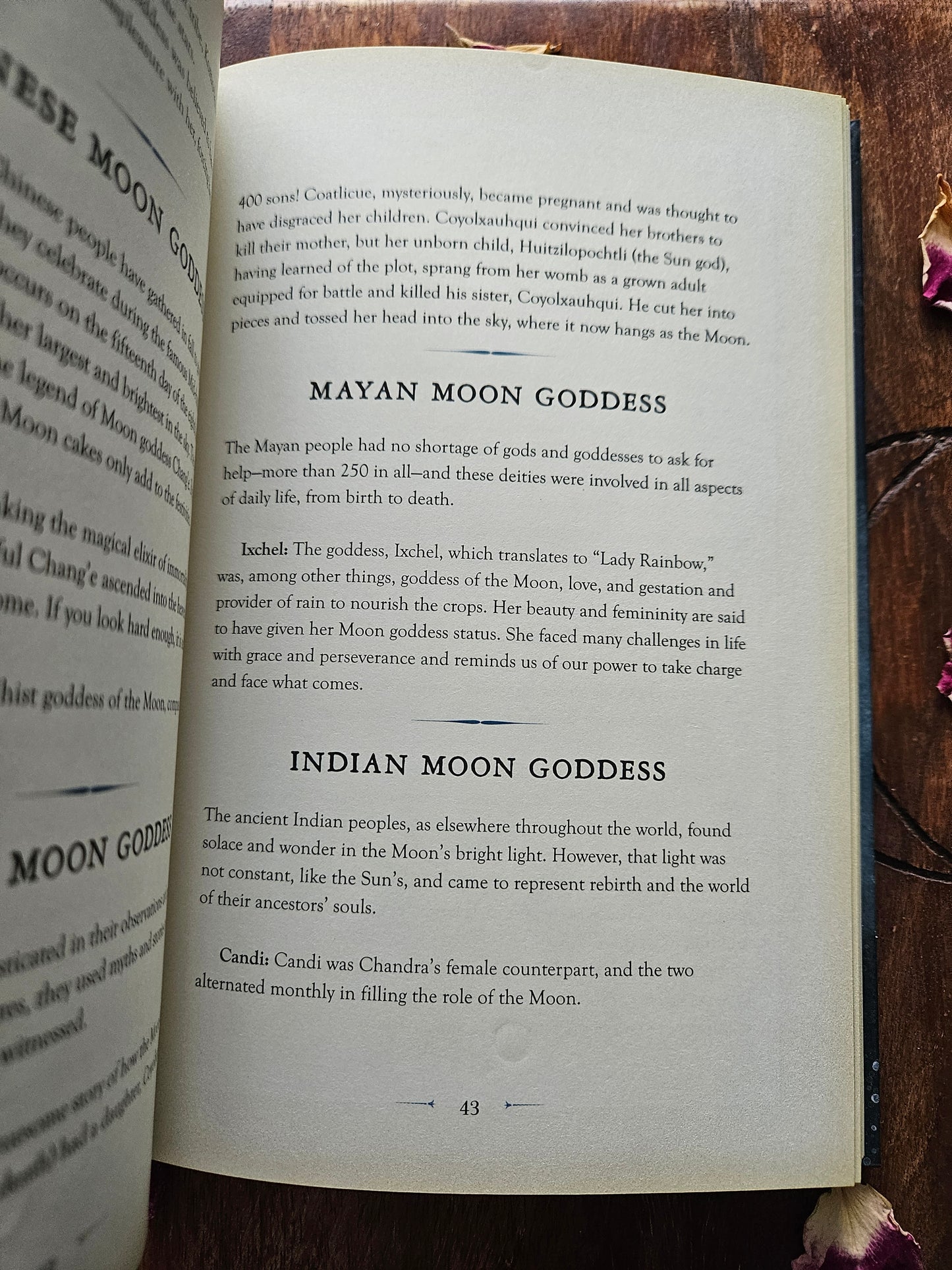 Aurora Kane
Moon Magic: A Handbook of Lunar Cycles, Lore, and Mystical Energies