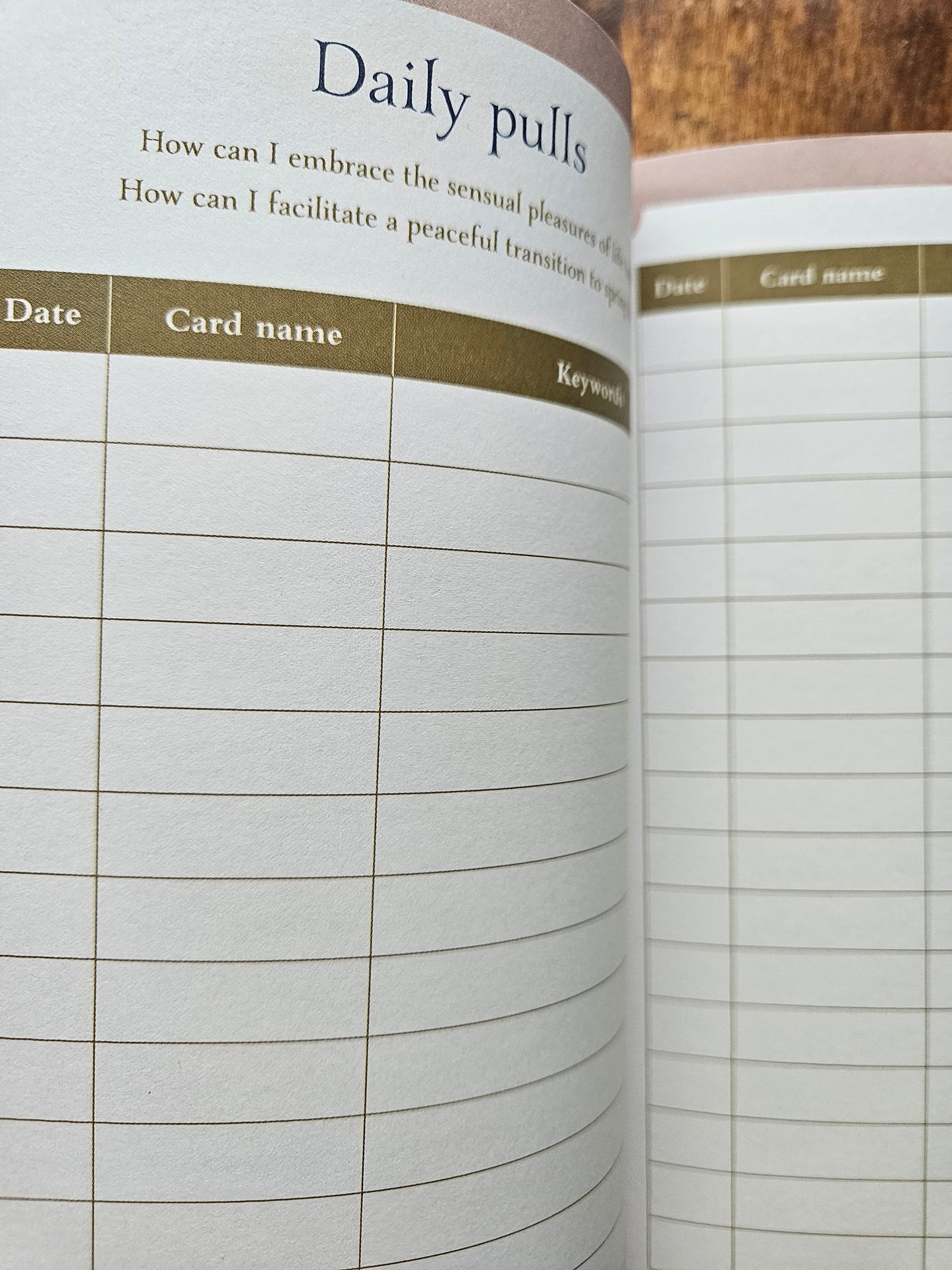 2026 Seasons of the Witch Planner Calendar by Lorriane Anderson