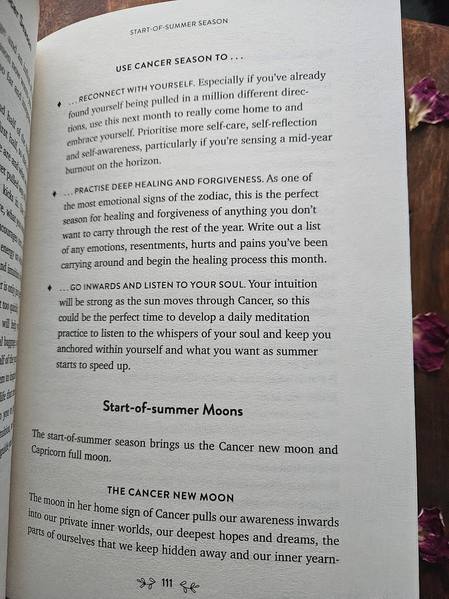 Sacred Seasons: Nature Inspired Rituals, wisdom, self-care for every day of the year by Kirsty Gallagher