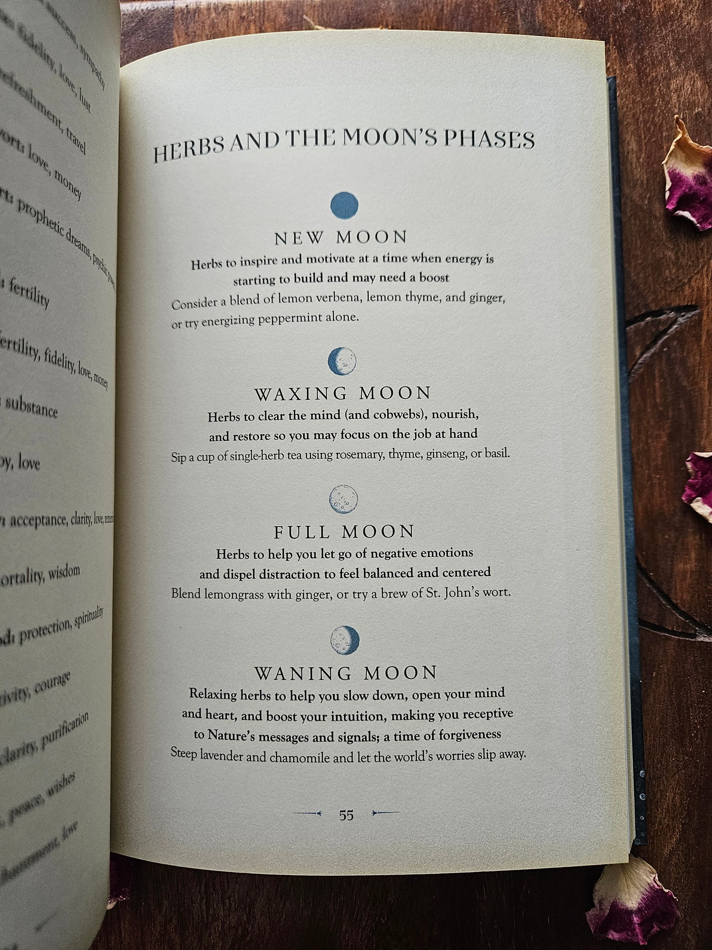 Aurora Kane
Moon Magic: A Handbook of Lunar Cycles, Lore, and Mystical Energies