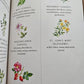 Herbal Magic Journal: Volume 12 Spells, Rituals, and Writing Prompts for the Budding Green Witch (Mystical Handbook)