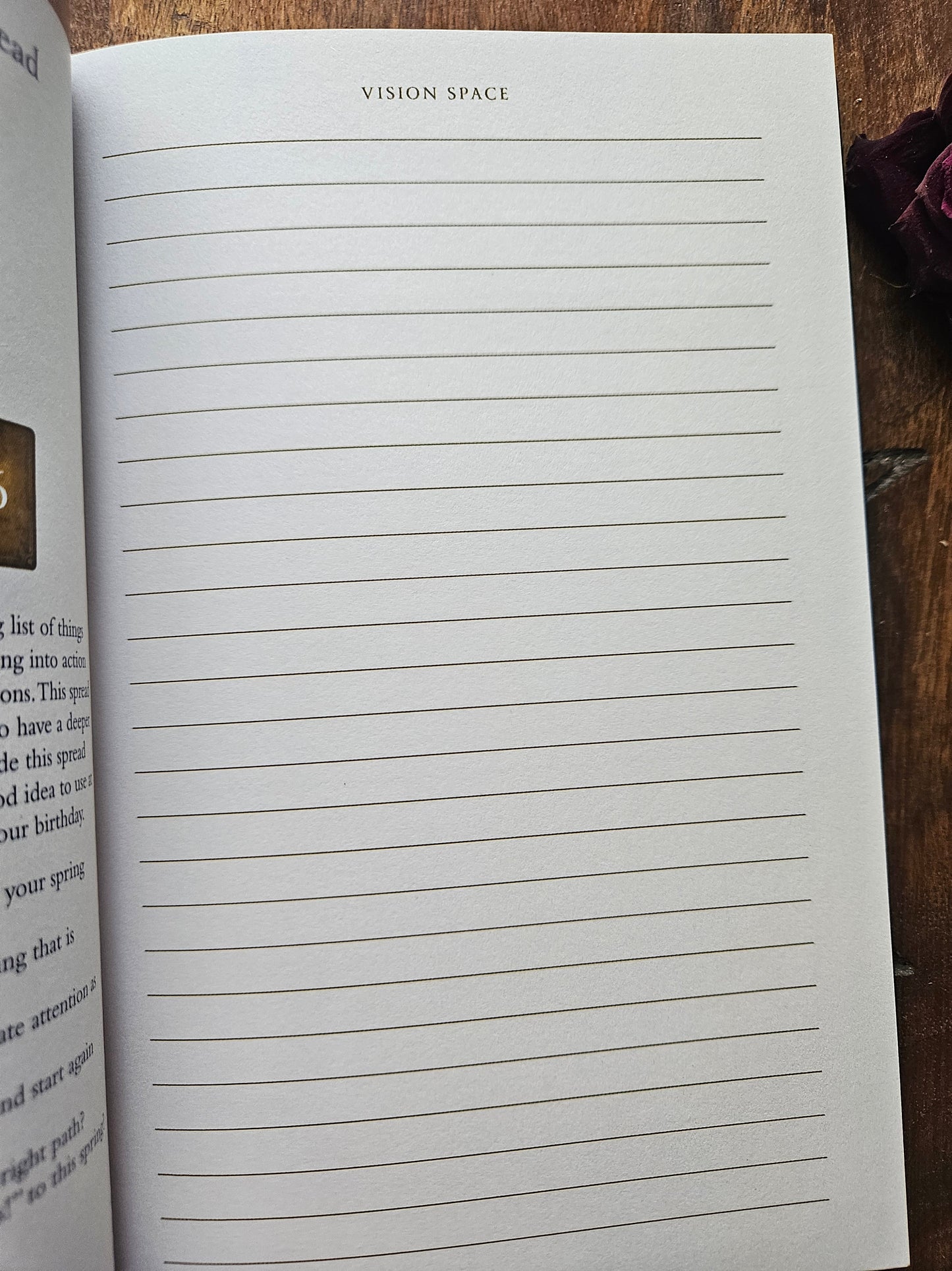 2026 Seasons of the Witch Planner Calendar by Lorriane Anderson
