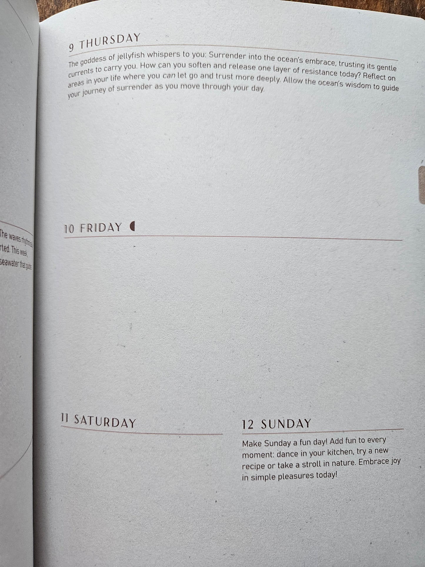 2026 Moon Goddess Planner Calendar: Northern Hemisphere (Planners) by Nicci Garaicoa