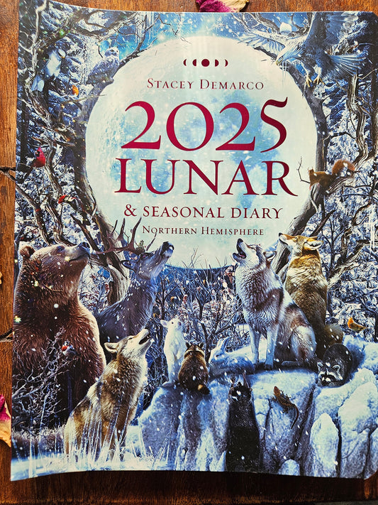 Lunar & Seasonal Diary 2025 by Stacey Demarco (Northern Hemisphere)