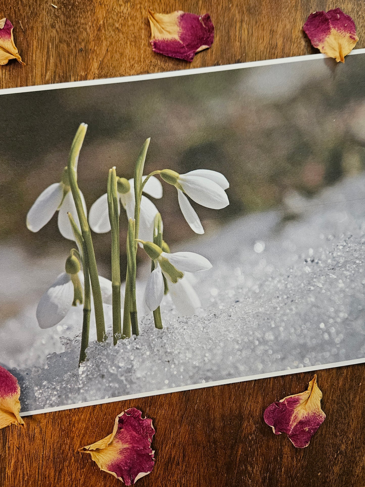 Imbolc Ritual Set