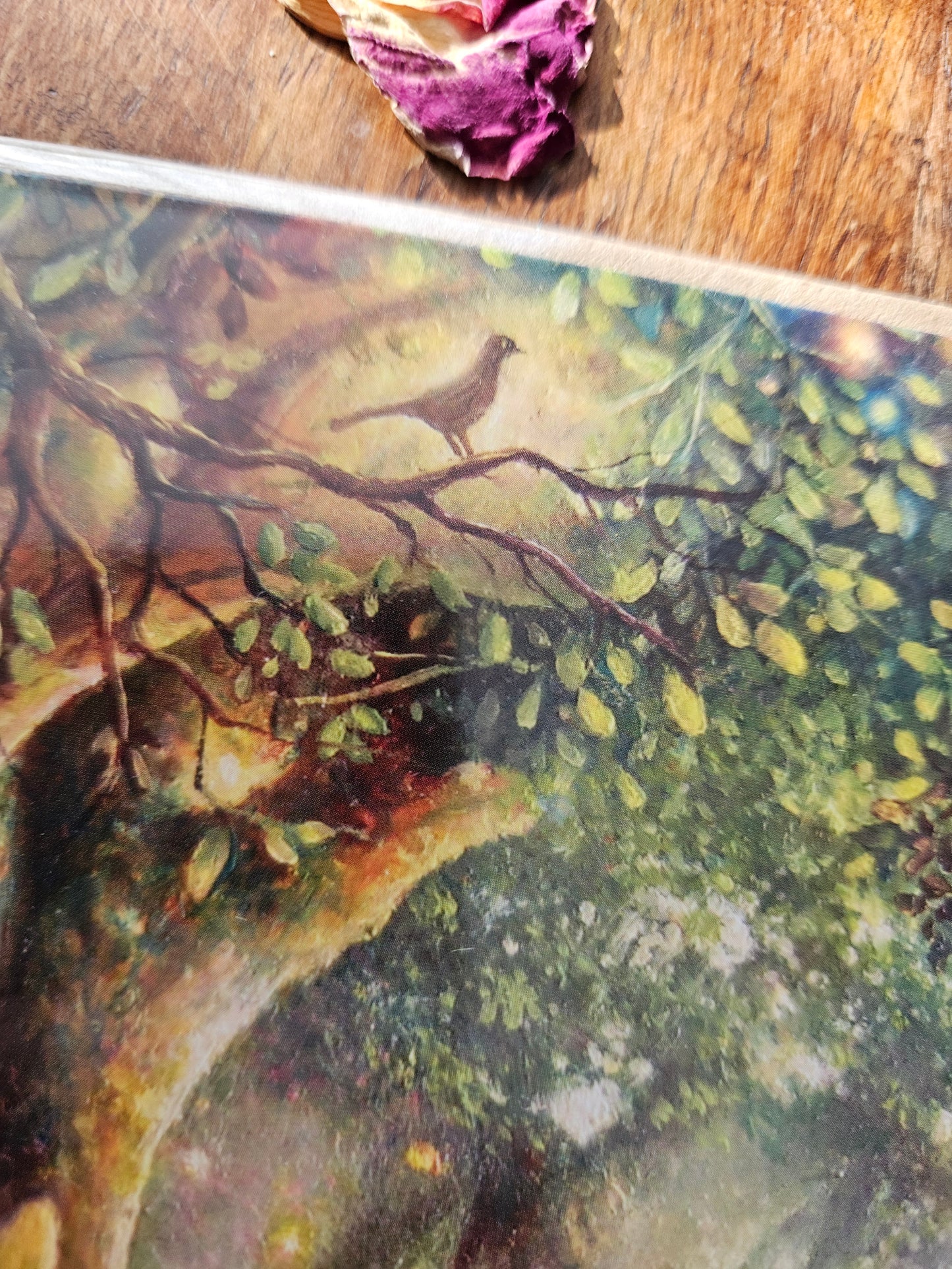 Woodland Hares Greeting Card (Blank)