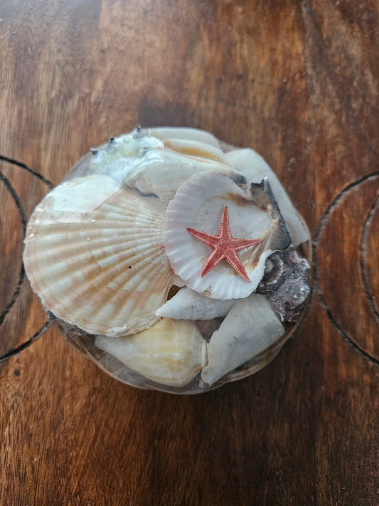 6 inch Shell basket