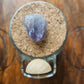 Goddess Circe Protection Salt Jar