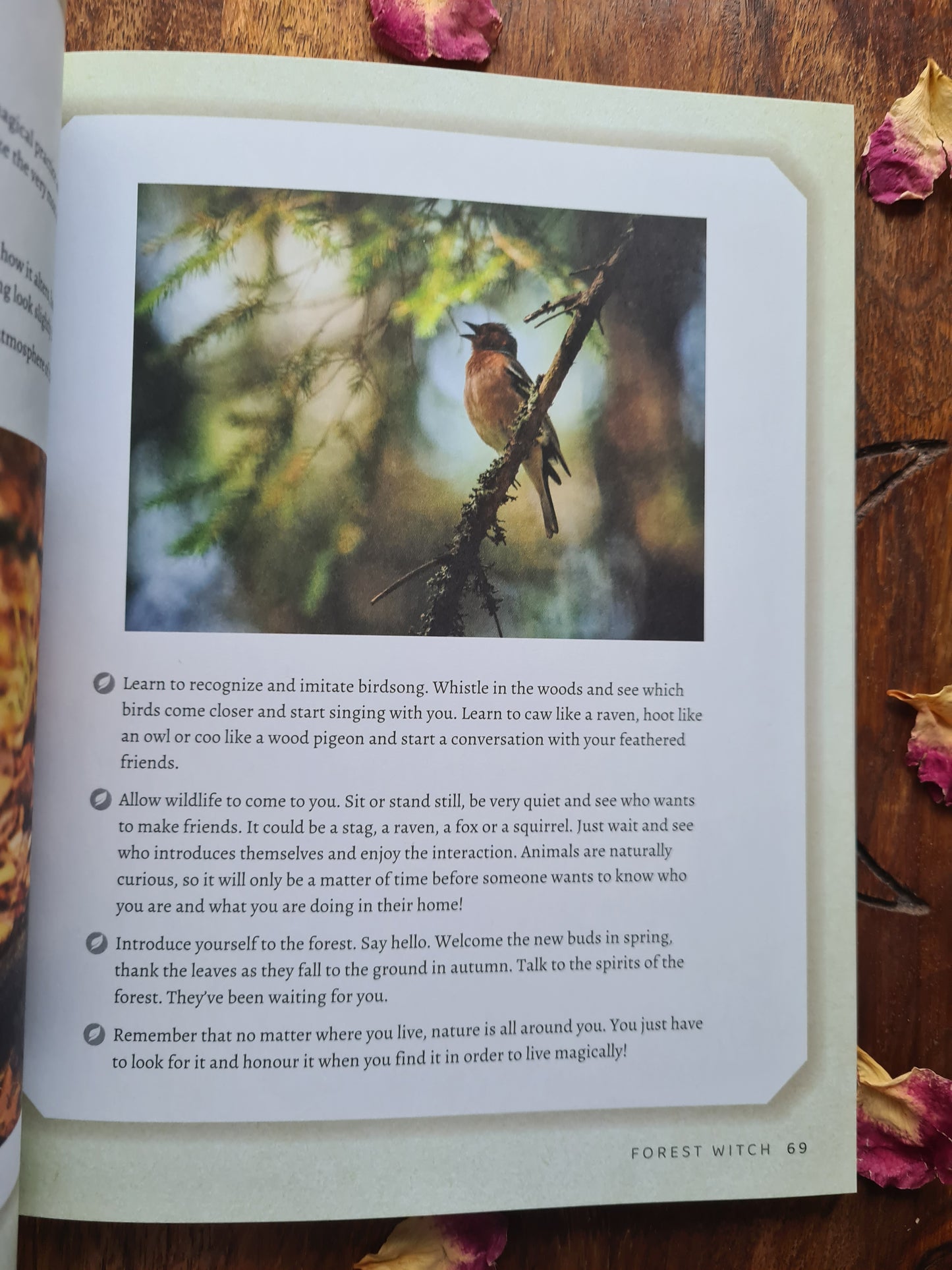 Green Witchcraft: Magical Ways to Walk Softly on the Earth by Marie Bruce