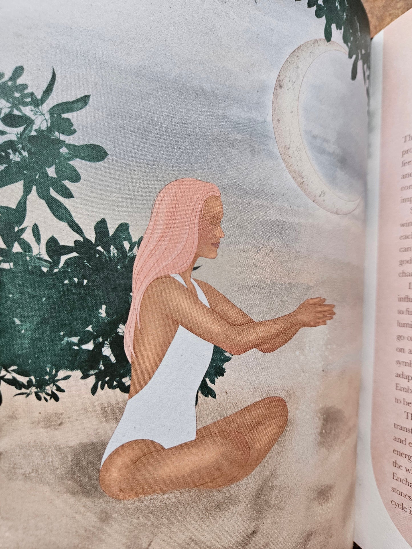 2026 Moon Goddess Planner Calendar: Northern Hemisphere (Planners) by Nicci Garaicoa