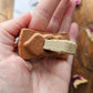 Green Tree Copal Smudge Bricks with Holder