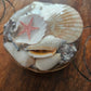 6 inch Shell basket