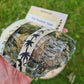 Mini Smudge Sticks - 3 pack. Sage, Mugwort and Cedar