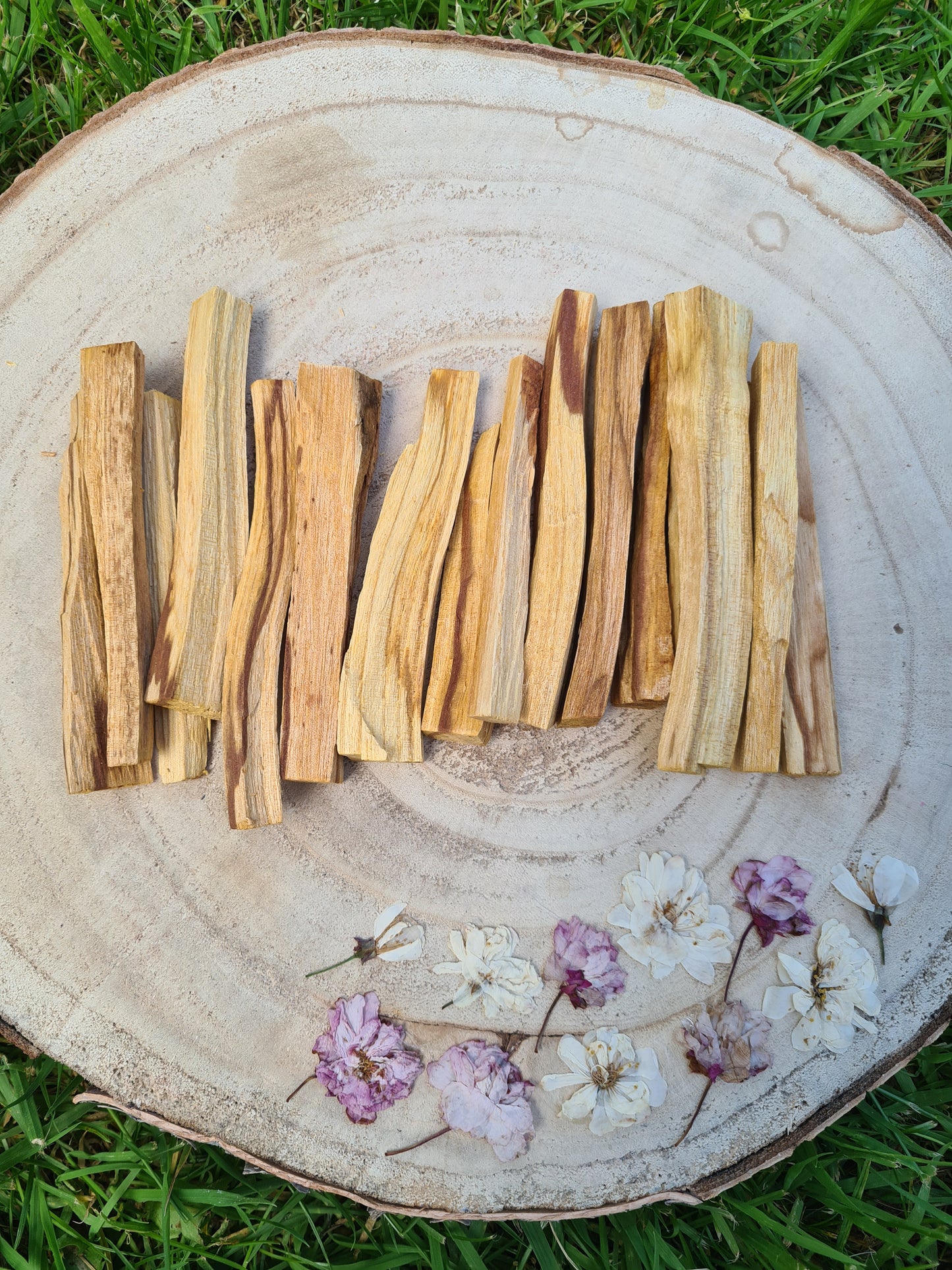 Palo Santo Sticks - Green Tree - Thin Sticks