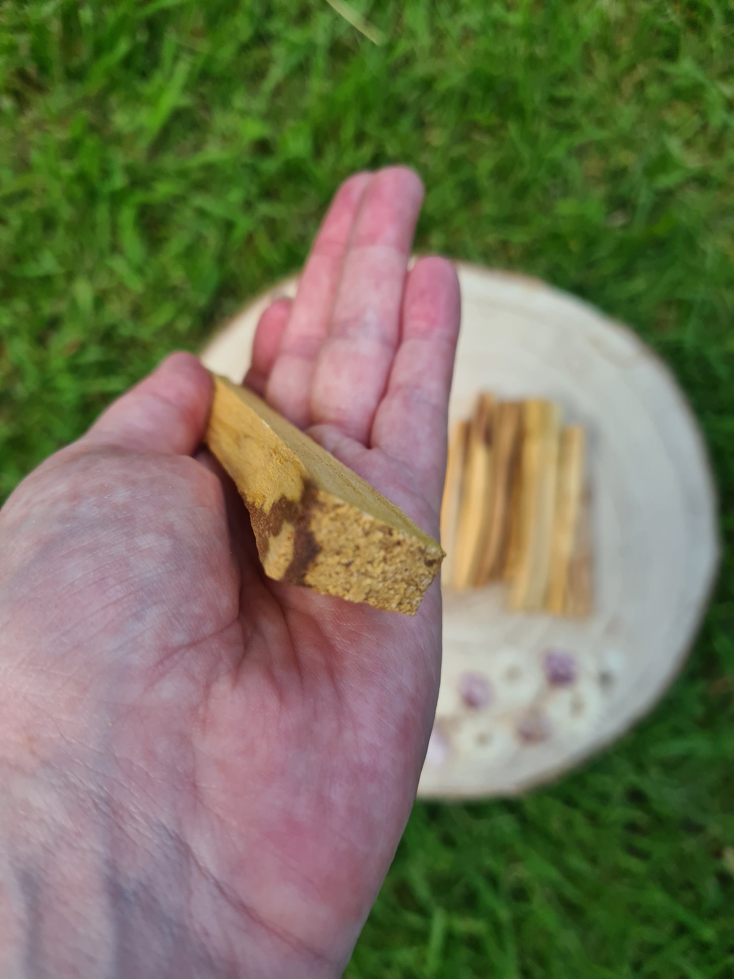 Palo Santo Sticks - Green Tree - Thin Sticks