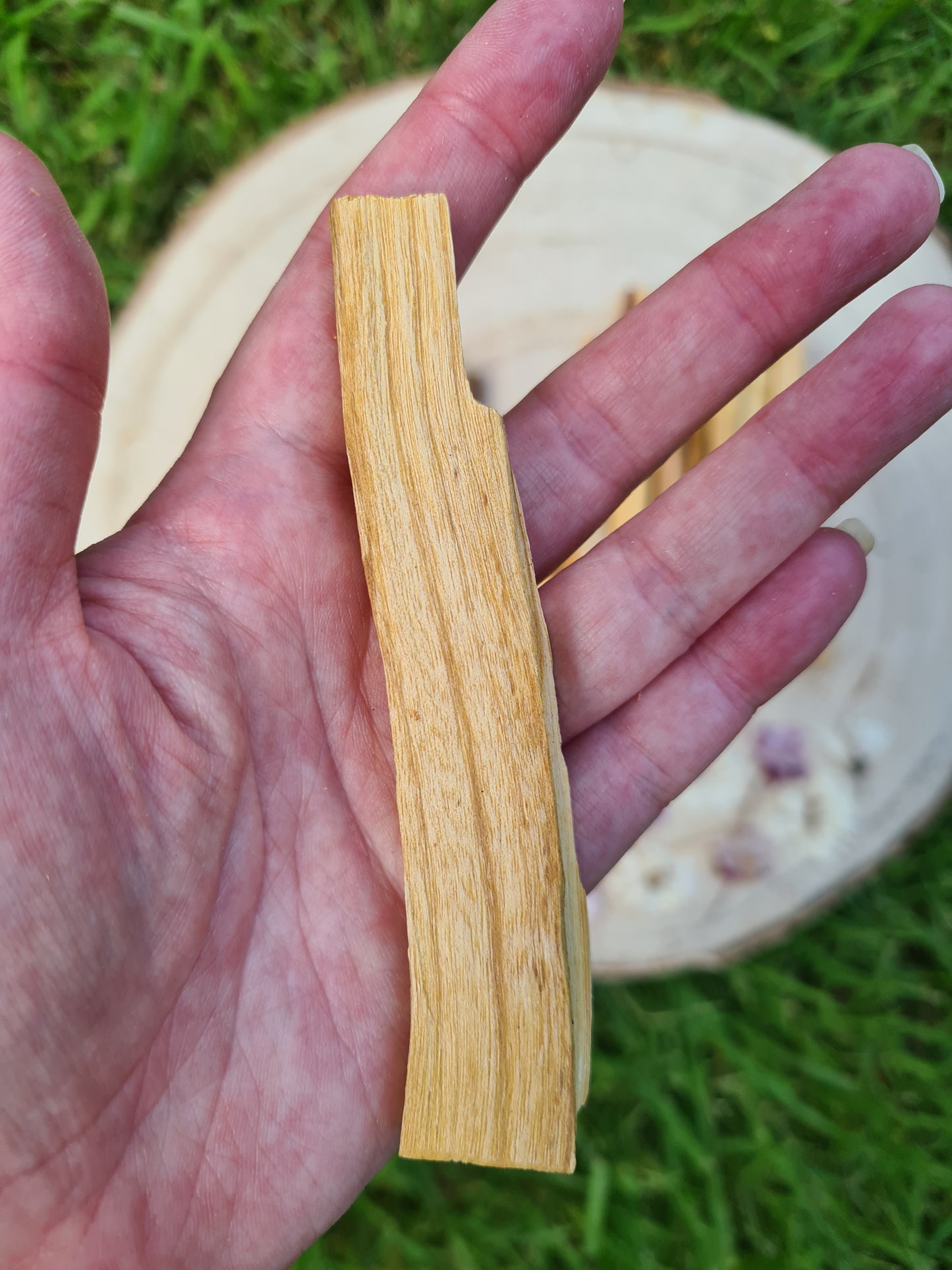 Palo Santo Sticks - Green Tree - Thin Sticks