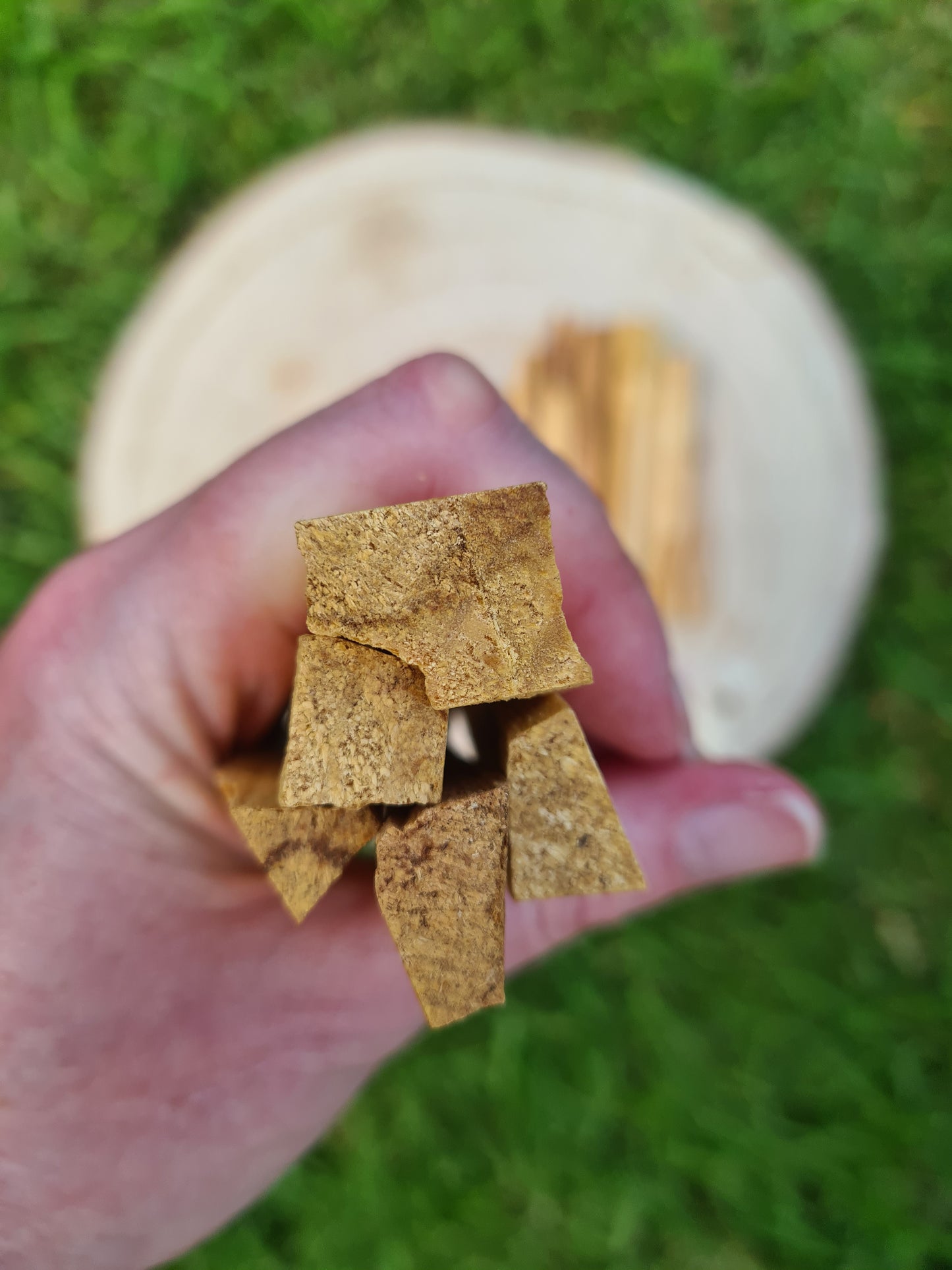 Palo Santo Sticks - Green Tree - Thin Sticks