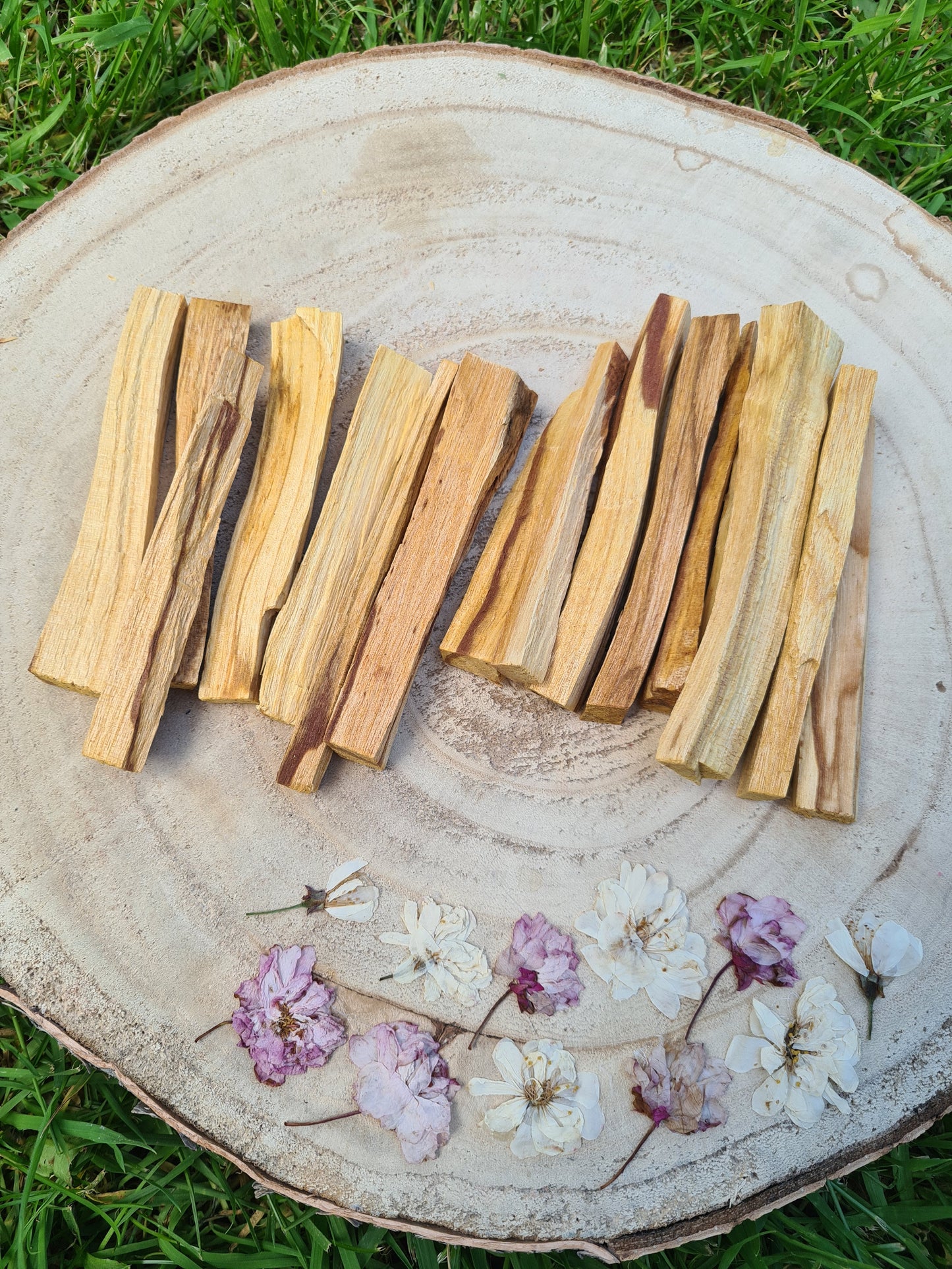 Palo Santo Sticks - Green Tree - Thin Sticks