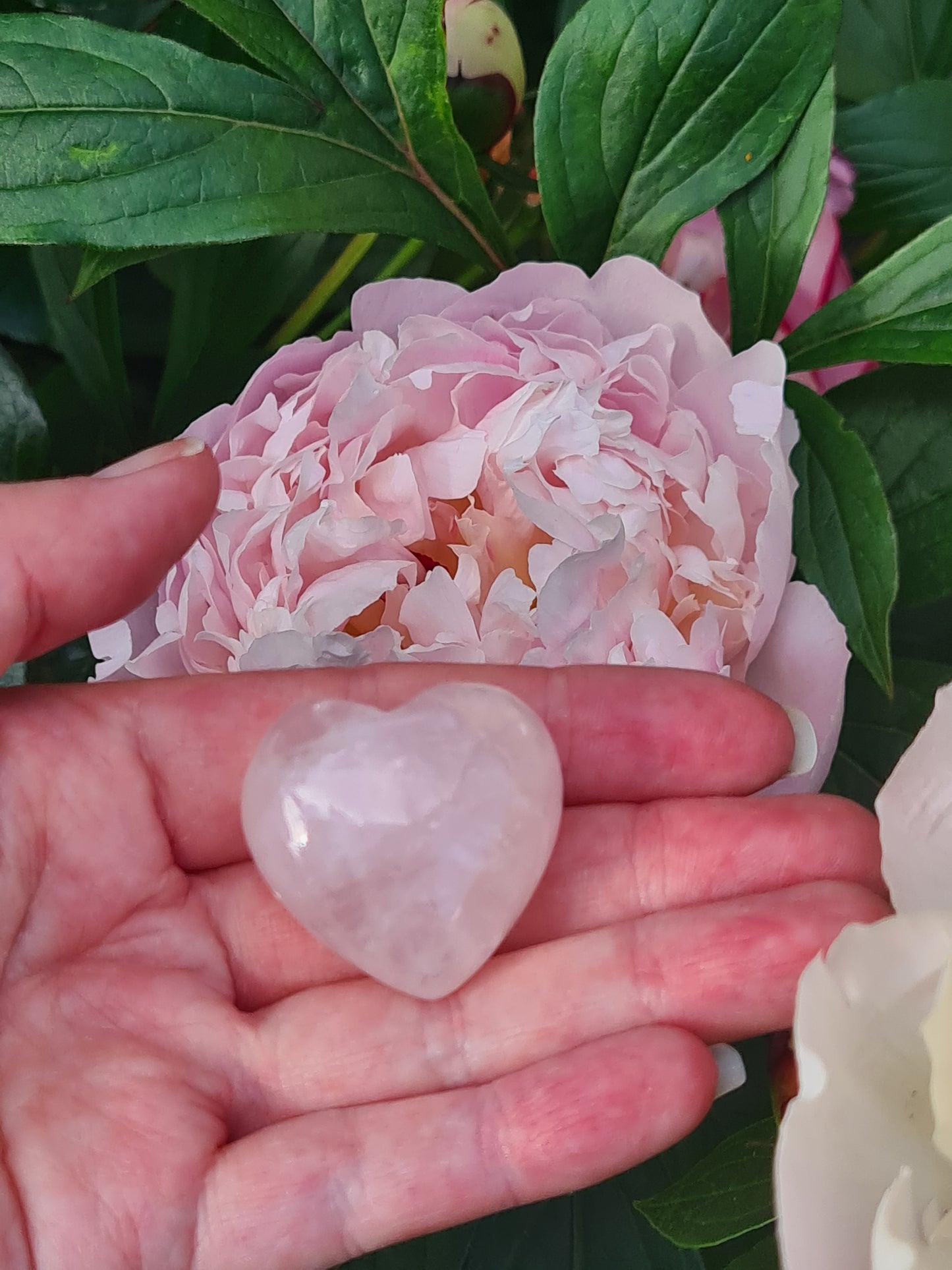 Puffed Heart Rose Quartz