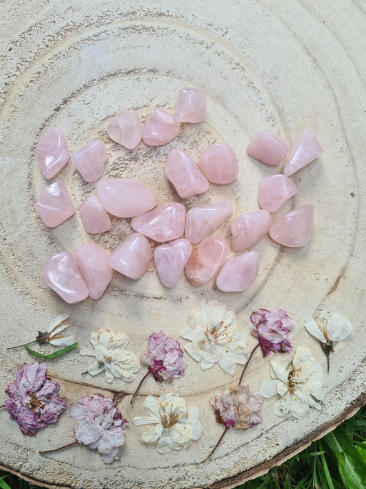 Small Rose Quartz Tumblestones